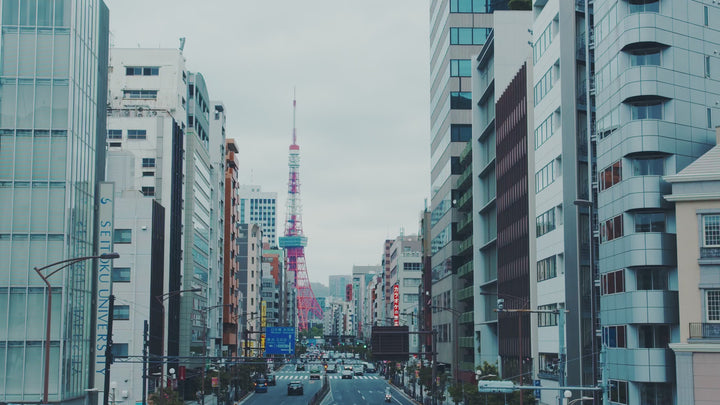 六白黒豚 出汁しゃぶセット